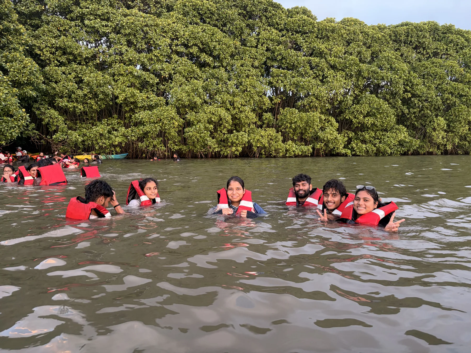 Guests swimming in the mangroves